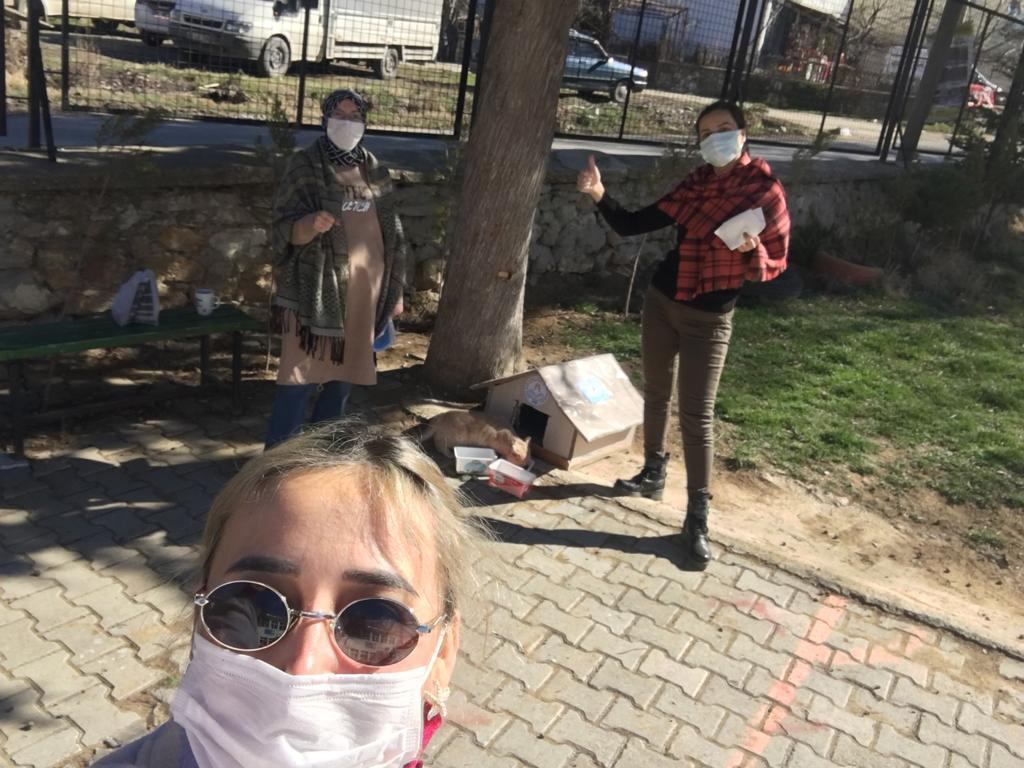 02-03-2021
